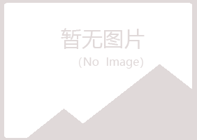 鹤山区南莲制造有限公司